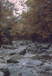 rock creek park